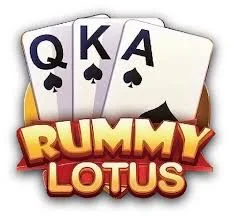 Rummy 51 Bonus All App